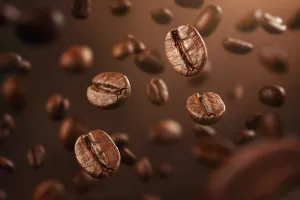 Café Arábica: O Que é Isso e Quais são os tipos?