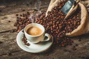 Café sustentável: veja como melhorar seu modo de consumo