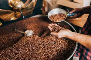 Consumo do Café: Veja Porque essa Bebida é Tão Popular
