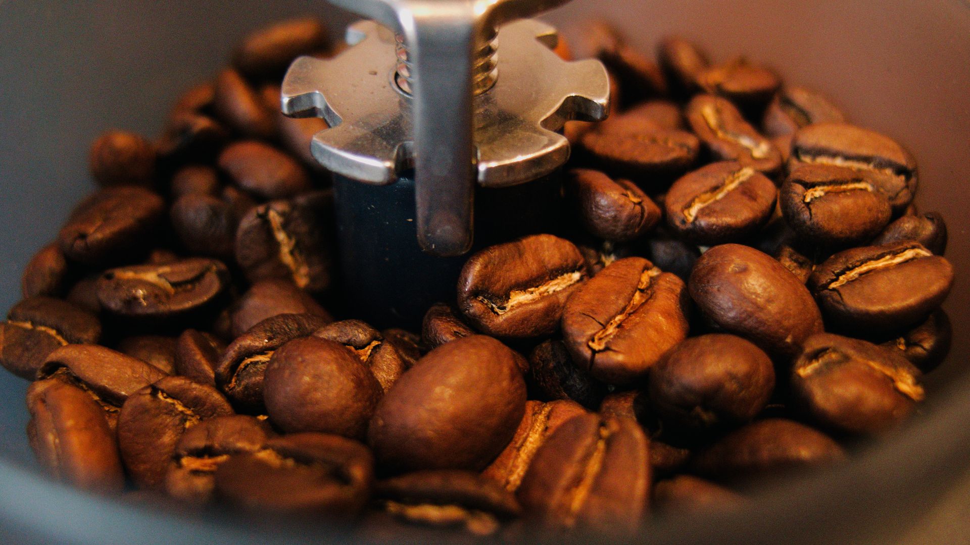 Como Consertar Cafeteira Elétrica: Dicas práticas para você resolver