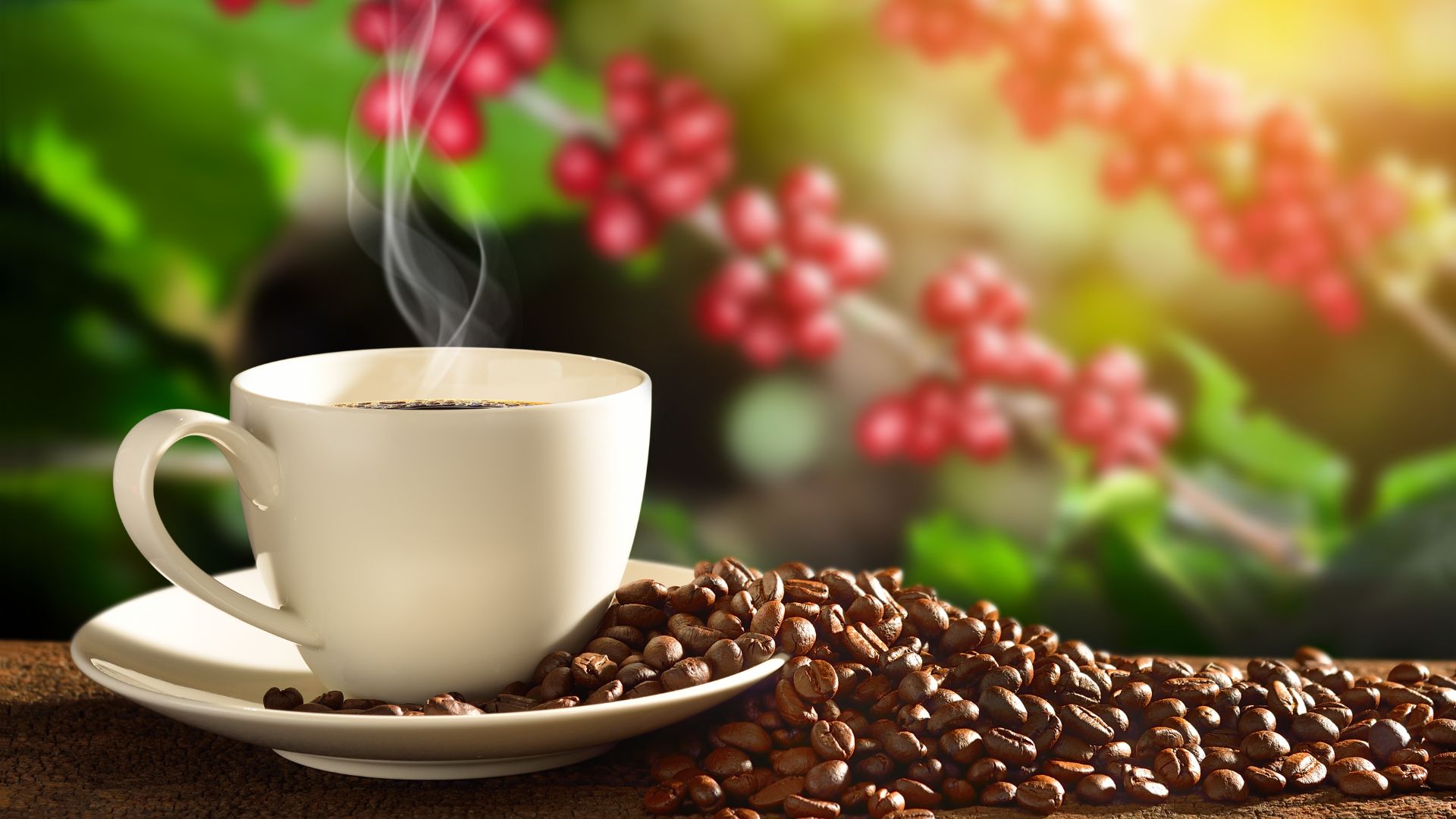 Valor da Máquina de Café Expresso: Descubra seus benefícios e muito mais